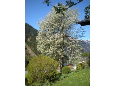 Apartment Haus Gant Wohnung 1 - Outdoor photo 13
