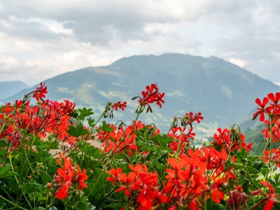 Apartment Mittagspitze - Outdoor photo 13