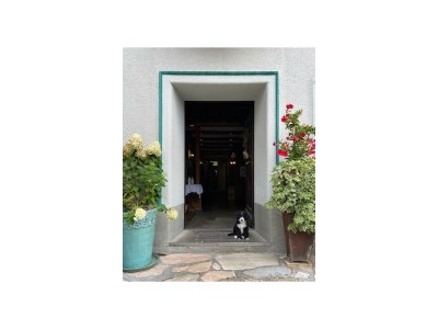 Holiday room Terassen Juniorsuite mit Dusche oder Bad, WC - Outdoor photo 2