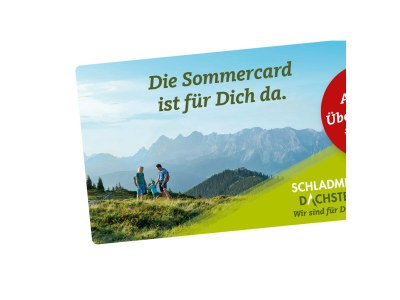Apartment Ferienhaus/4 od. mehr Schlafr./Bad, WC - Outdoor photo 35