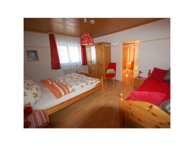 Apartment Ferienhaus/4 od. mehr Schlafr./Bad, WC - Features photo 44
