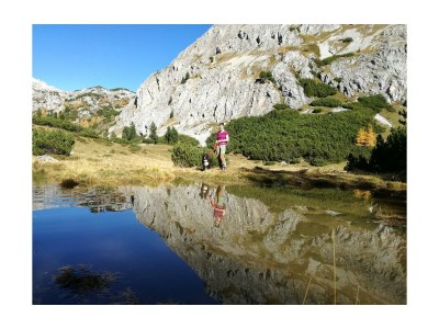 Apartment App. Ahorn /1 Schlafraum/Dusche, WC - Outdoor photo 18
