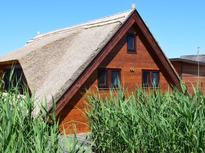 Chalet Chalet by the Lake No. 44 in Rust - Chalet