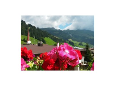 Apartment Appartement 1 "Lanersbach" - Outdoor photo 27