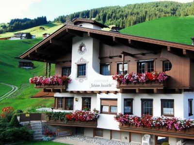 Apartment App. Olperer, 1 Schlafzimmer, mit Balkon in Tux - Apartment