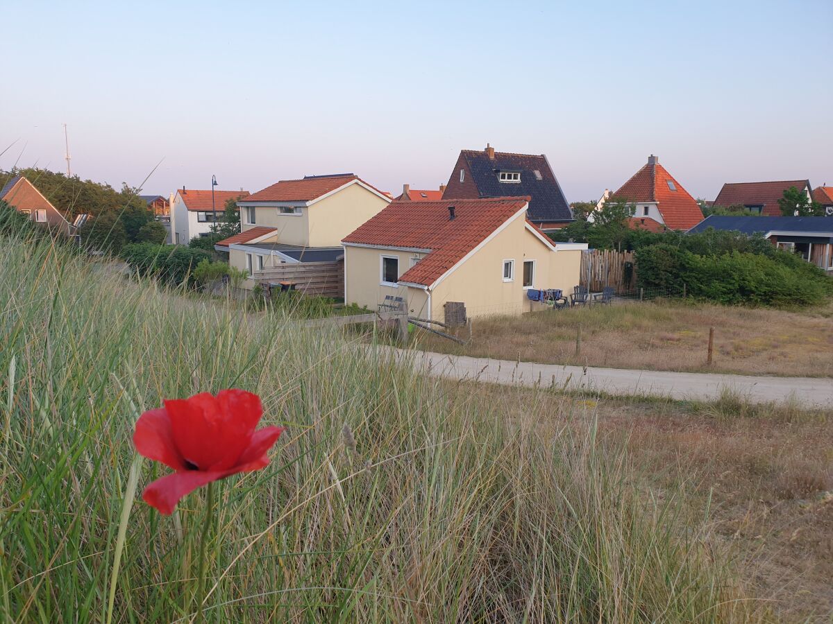 Holiday house De Duinpan