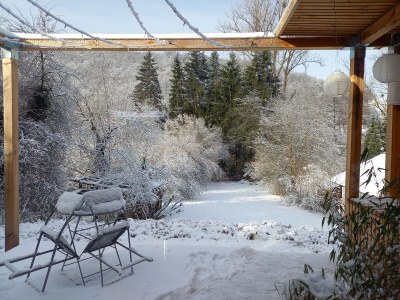 Holiday house Tinyhouse Pfalz - Outdoor photo 11