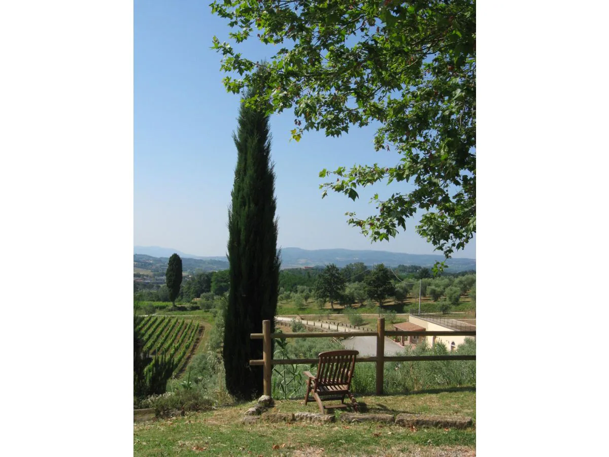 Holiday apartment "Platane" im Bio-Weingut