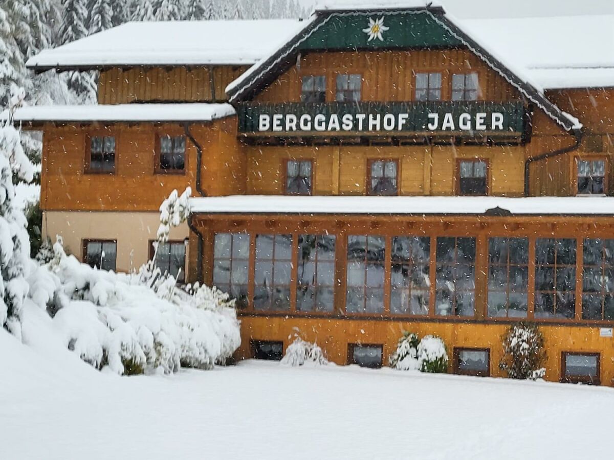 Apartment Panorama-Dachstudio Hochkönig