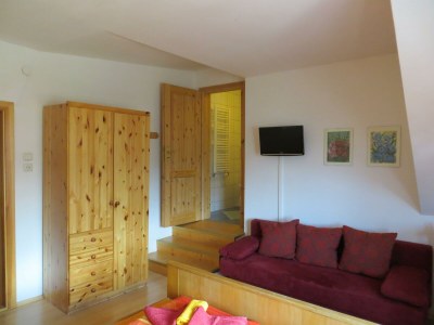 Apartment Panorama-Dachstudio Hochkönig - Outdoor photo 46