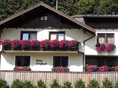 Apartment App. 3  75m² 3-6 Pers. 2 SCHLAFRÄUME U. WOHNKÜCHE in Schladming-Rohrmoos - Apartment