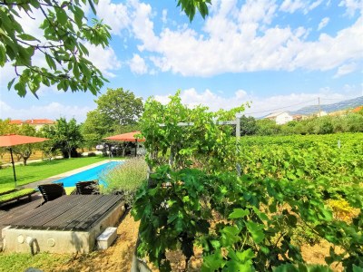 Holiday house Villa Kućica - Outdoor photo 10