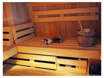 Apartment Appartement/Fewo - Outdoor photo 26