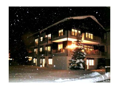 Apartment Wohnung 3b in Saas Grund - Apartment