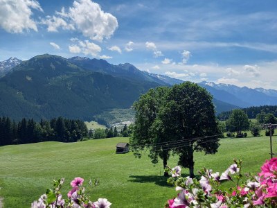 Holiday apartment AlpenglÃ¼hen Schranzlhof - Outdoor photo 13