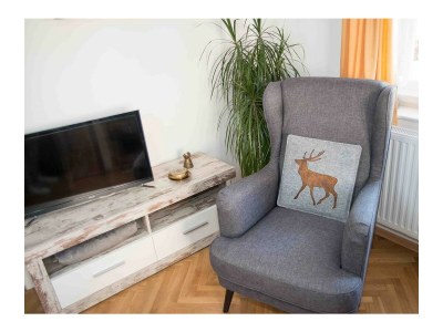 Apartment Appartement 70 m² - Features photo 7