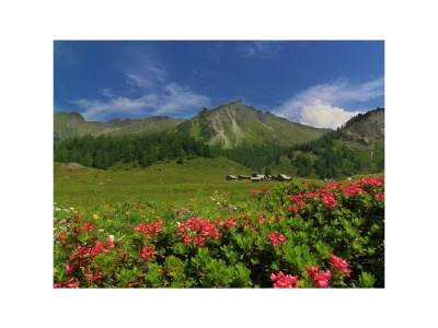 Holiday room Einzelzimmer mit Dusche, WC - Outdoor photo 15