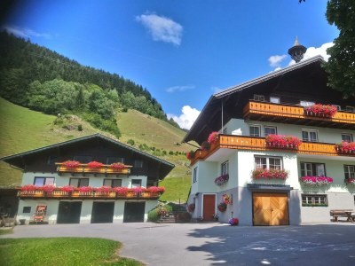 Holiday room Doppelzimmer mit Dusche, WC in Mandling - Holiday room