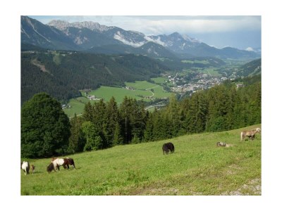 Apartment App. Dachstein, Dusche, WC, 1 Schlafraum - Outdoor photo 6