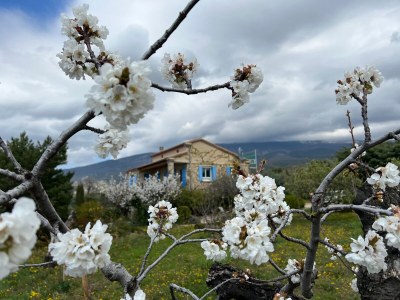 Holiday apartment Cerisiers - Rosiers - Outdoor photo 18