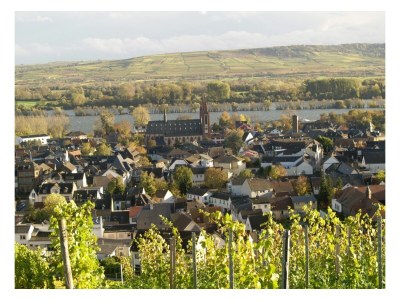 Apartment Apartment ruby - Weingut werk2 - Environment photo 10