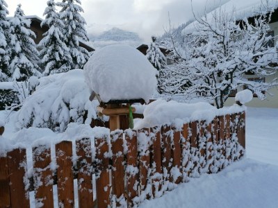 Apartment Appartement Waldhyazinthe - Outdoor photo 18