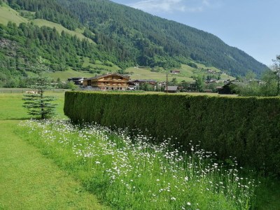 Apartment Appartement Sonnenhut - Outdoor photo 24