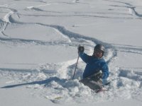 O. Salomon