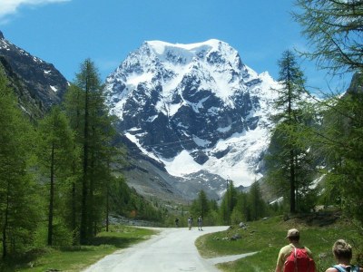 Chalet right on the piste "4 Vallees" - Environment photo 21