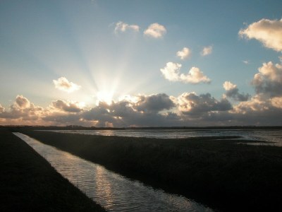 Holiday house "Texel" - Environment photo 16