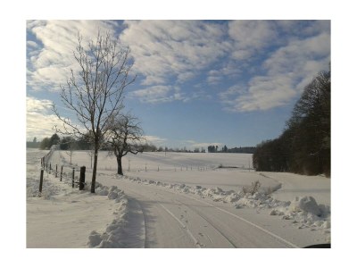 Apartment Ferienwohnung "Falke" für 4 Personen, Erdgeschoß - Outdoor photo 18