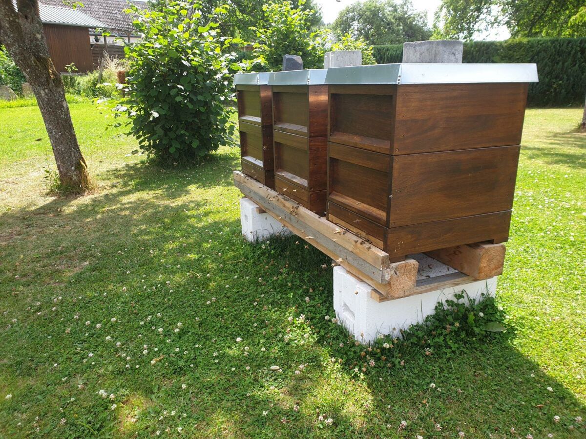 Apartment 4-Bett-Ferienwohnung Weiße Ley - Outdoor photo 4