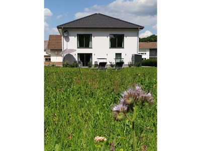 Apartment 4-Bett-Ferienwohnung Weiße Ley - Outdoor photo 19