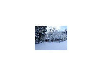 Apartment 2-Bettwohnung - Nichtraucher - Outdoor photo 13