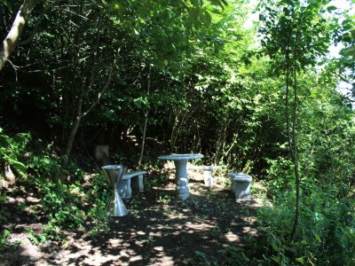 Apartment EifelNatur 5 (bis 5 Personen) - Outdoor photo 19