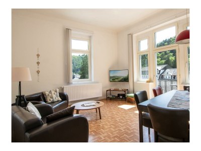 Apartment 4-Bett-Ferienwohnung Therme - Features photo 31