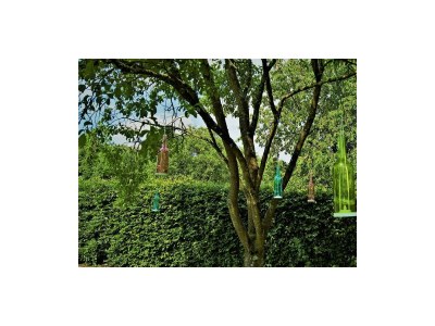 Apartment 2-Bettwohnung (Nichtraucher) - Outdoor photo 14