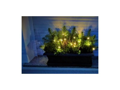 Apartment 2-Bettwohnung (Nichtraucher) - Outdoor photo 17