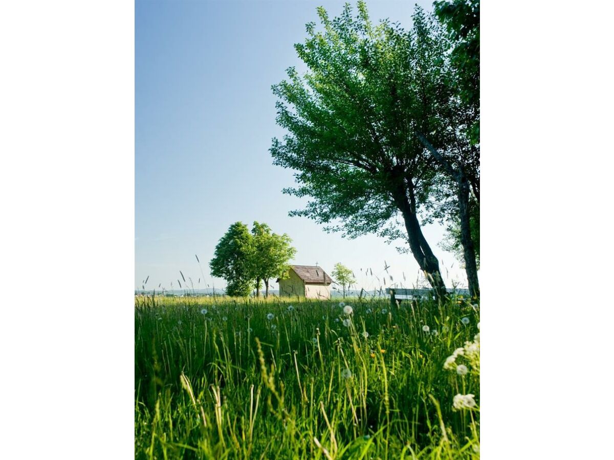 Apartment 2-Bettwohnung App. Bauerngarten II - Outdoor photo 4