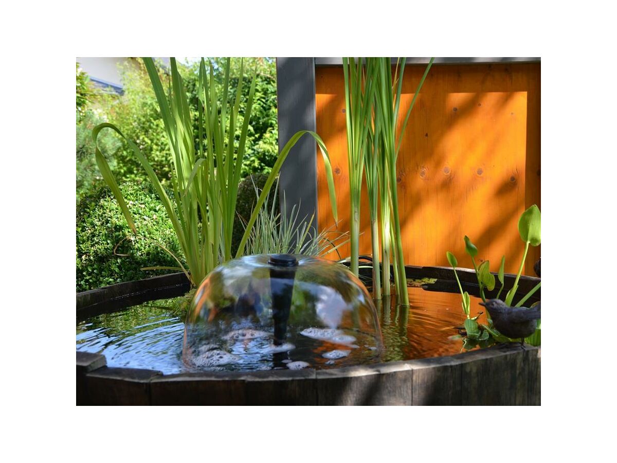 Apartment Apartment - Outdoor photo 4