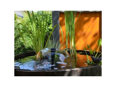 Apartment FeWo parterre - Outdoor photo 4