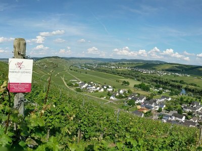 Apartment Fewo 2 Cuvee - Outdoor photo 13