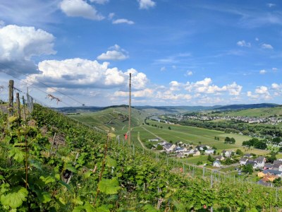 Apartment Fewo 3 Auslese - Outdoor photo 11