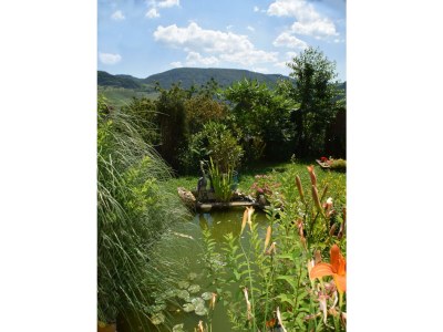 Apartment Ferienwohnung Gartenblick - Outdoor photo 7