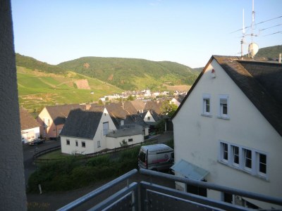 Apartment Ferienwohnung "alte Rebschule" - Features photo 31