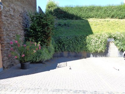 Apartment Appartement mit Terrasse - Features photo 21
