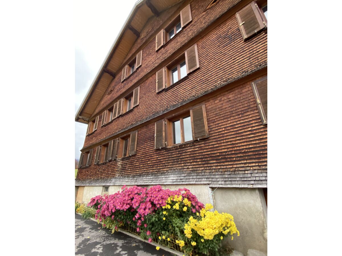 Holiday apartment Rosenhaus 1 - Outdoor photo 4