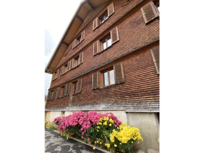 Holiday apartment Rosenhaus 1 - Outdoor photo 4