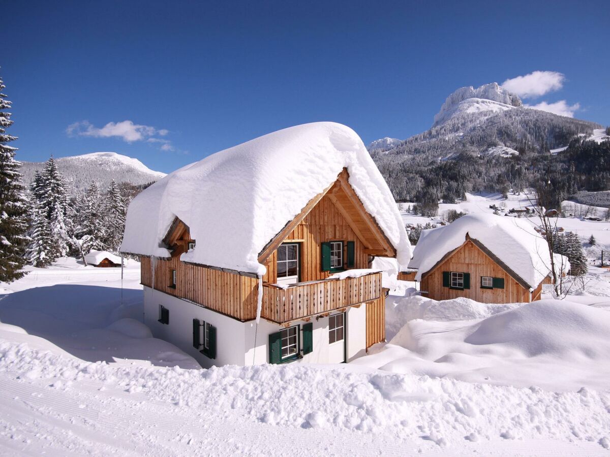 Apartment AlpenParks Hagan Lodge Altaussee / Comfort