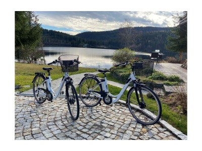 Holiday apartment Villa Seepark, Schluchsee - Environment photo 17